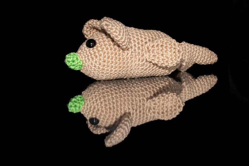 Crochet pattern Mish // Amigurumi pattern // Mouse Fish Crochet pattern // PDF pattern image 1