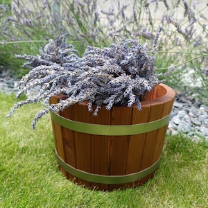 Blumentopf aus Holz / Blumentopf / Indoor, Outdoor.