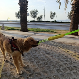 Quietschiges Zerrspielzeug für Hunde: Robuste Trainingspuppe von Bitework