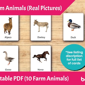Boerderijdieren (echte foto's) • Bewerkbare Montessorikaarten • PDF-afdrukbare flashcards voor peuters • 3-delige nomenclatuurkaarten • Educatieve kaarten