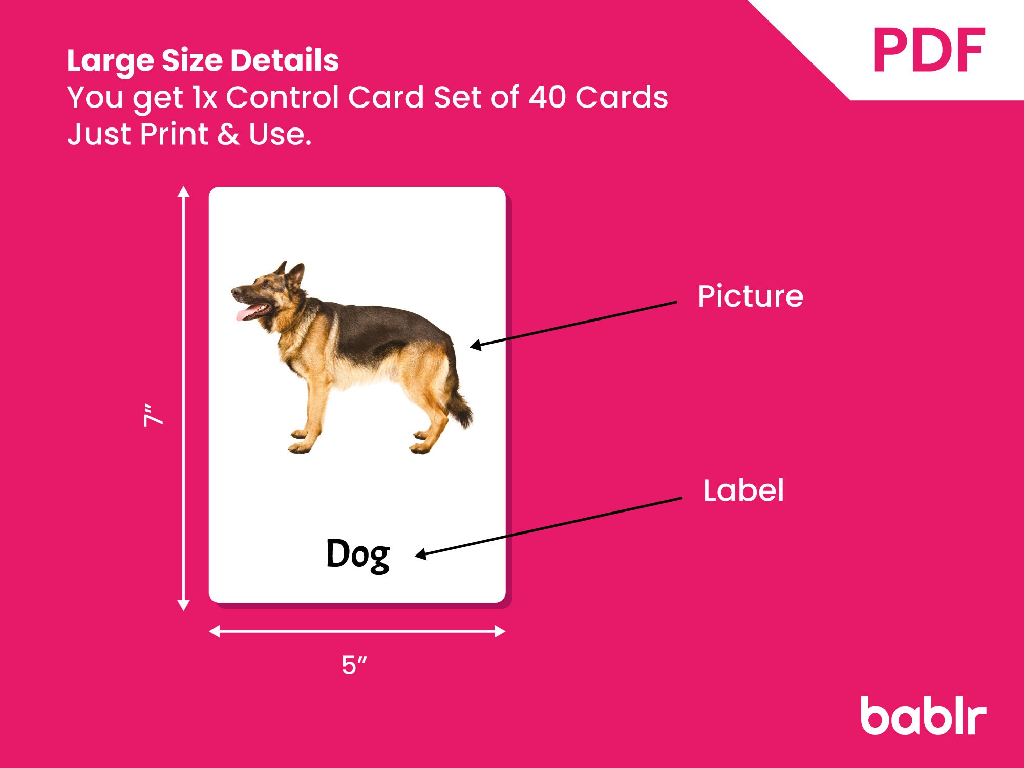 Editable Montessori Cards PDF Printable Toddler Flashcards 3 Part ...