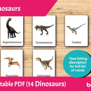 Dinosaurier • Editierbare Montessori Karten • PDF druckbare Karte für Kleinkinder • 3-teilige Nomenklaturkarte • Lernmaterial