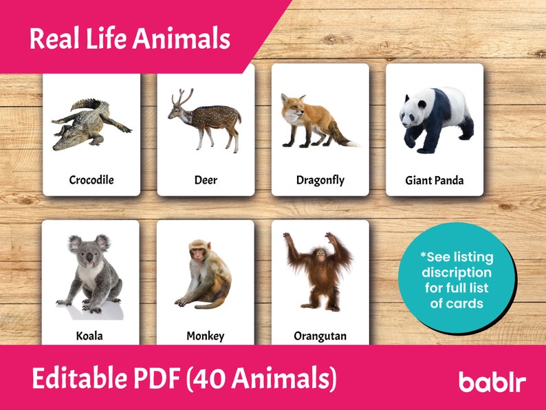 Editable Montessori Cards PDF Printable Toddler Flashcards 3 Part ...