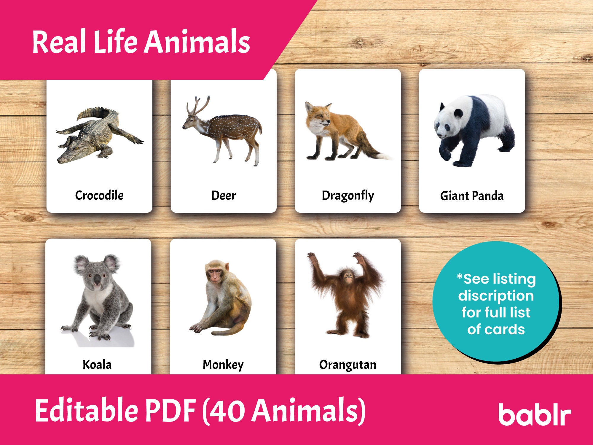 Editable Montessori Cards • PDF Printable Toddler Flashcards • 3- Part ...