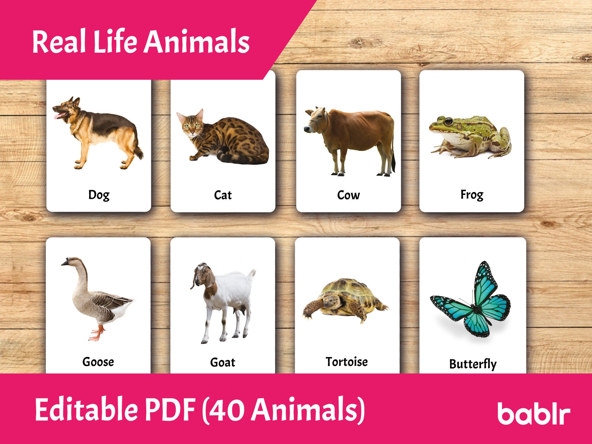 Editable Montessori Cards PDF Printable Toddler Flashcards 3 Part ...