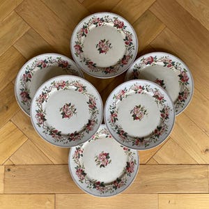 Antique Sarreguemines Side Plates: French Eglantier Floral Set