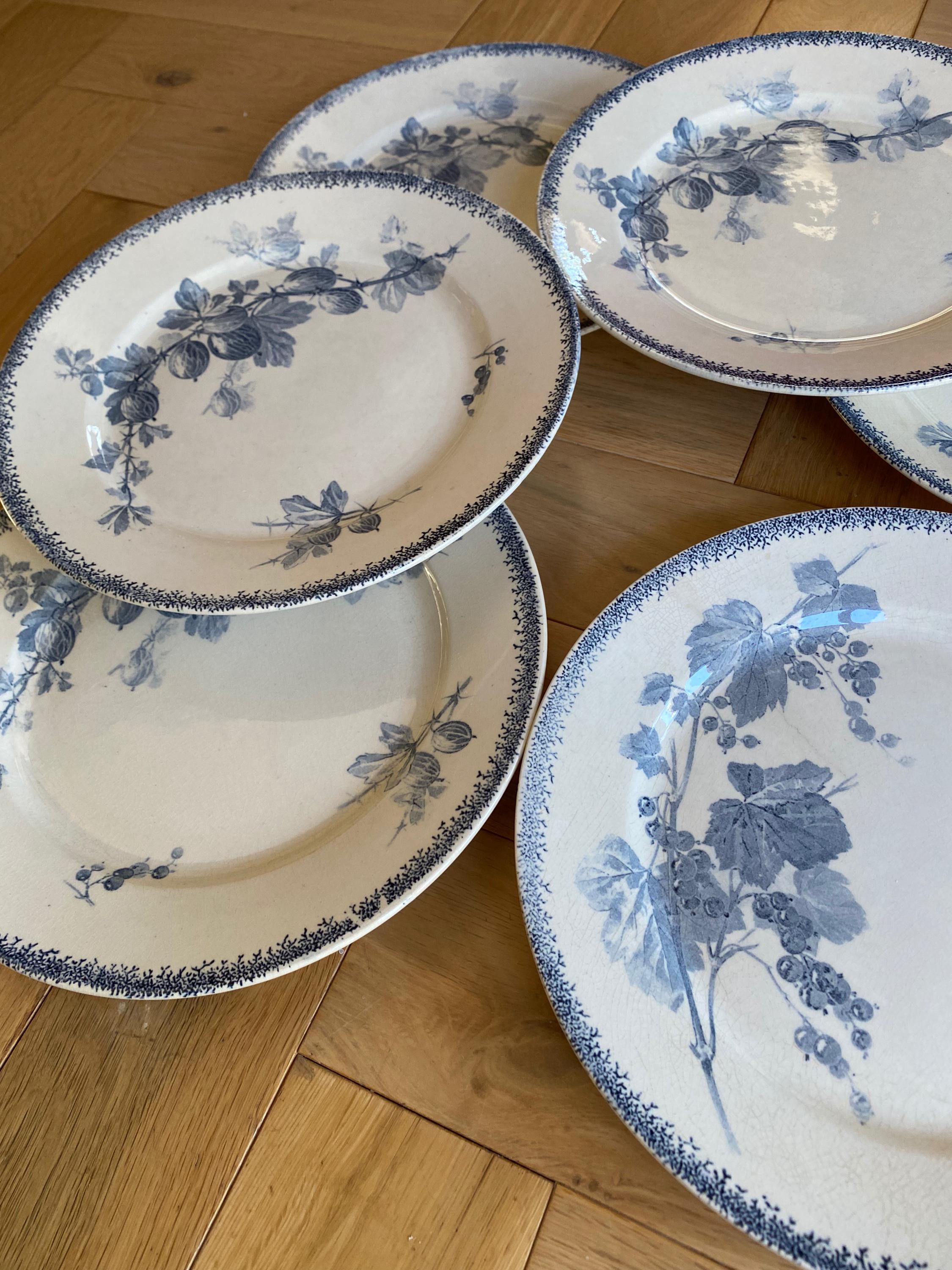 Mozart sarreguemines - Etsy 日本