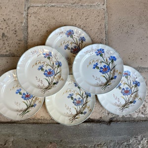 Set of 6 plates from Longchamp decor &#39;Marguerite&#39; terre de fer