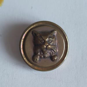 Pode incluir: Um botão circular de latão com um relevo tridimensional da cara de um gato no centro. O metal tem um tom de bronze quente e envelhecido, com uma borda exterior lisa e polida e uma textura detalhada nos traços faciais do felino.