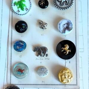 Pode incluir: Uma coleção de botões decorativos variados dispostos num cartão de apresentação com a etiqueta Prima Qualitat. Os botões apresentam vários desenhos, incluindo uma rã verde, um camelo, um caniche, um urso, uma teia de aranha e pássaros.