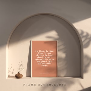 May include: A framed print with a peach-colored background and white text. The text reads, "For I know the plans I have for you, declares the Lord, plans to prosper you and not to harm you, plans to give you hope and a future." The text "Jeremiah 29:11" is at the bottom.