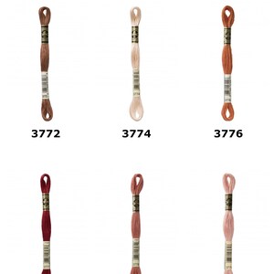 May include: Six skeins of D.M.C. Stranded Cotton Embroidery Thread arranged in two rows. The colors include shades of brown, beige, terracotta, dark red, dusty rose, and light pink, each labeled with numbers 3772, 3774, 3776, 3777, 3778, and 3779.