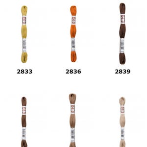 Op de afbeelding: Zes strengen D.M.C. Soft Cotton borduurgaren gerangschikt in twee rijen. De kleuren zijn mosterdgeel 2833, oranje 2836, donkerbruin 2839, middenbruin 2840, lichtbruin 2841 en beige 2842. Elke streng is voorzien van een centraal papieren label.