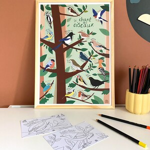 Poster giocoso del canto degli uccelli