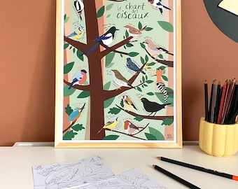 Affiche ludique le chant des oiseaux