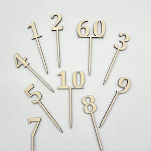 Wooden Cake Topper Number Personalized – Cake Topper Birthday – Numbers 1-10, 20-100 or desired number – Number Decoration Birthday
