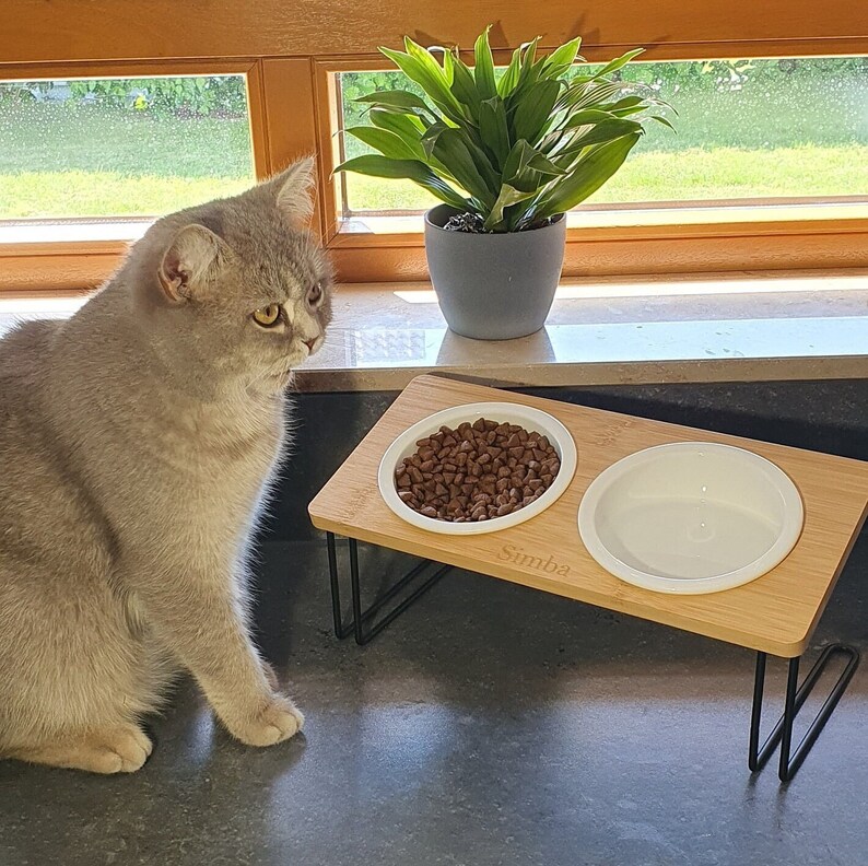 Feeding station, food bar for cats, customizable 2x raised feeding bowls with angles for better drinking/eating image 1