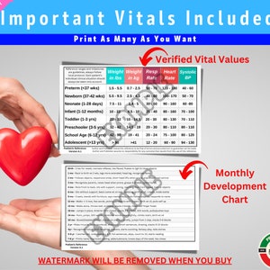 Pediatric Vital Signs & Milestones Badge Card | Nurse Student (PDF, PNG ...