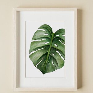 Monstera Deliciosa - Art Print