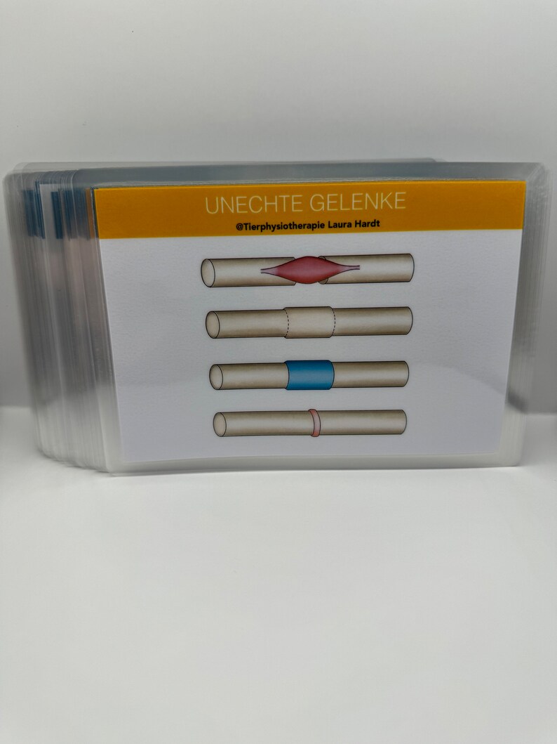 May include: A diagram illustrating the concept of false joints. The diagram shows four different types of false joints, each with a different type of connective tissue. The text at the top of the diagram reads "Unechte Gelenke" and "@Tierphysiotherapie Laura Hardt".