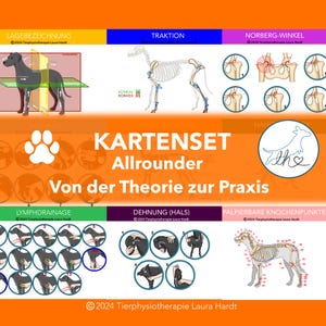 Cartões de aprendizagem versáteis para fisioterapeutas caninos (teoria, prática e tecnologia), cartões de fisioterapia animal