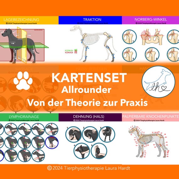 Allrounder-Lernkarten für Hundephysiotherapeuten (Theorie, Praxis & Technik), Tierphysiokarten