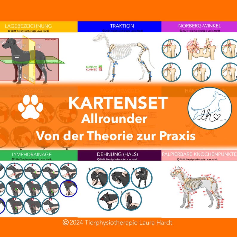 May include: A set of illustrated cards for canine physical therapy. The cards feature a dog with anatomical markings and text in German. The cards are titled "Kartensatz Allrounder Von der Theorie zur Praxis" and are divided into sections: Lagebezeichnung, Traktion, Norberg-Winkel, Lymphdrainage, Dehnung (Hals), and Palpierbare Knochenpunkte.