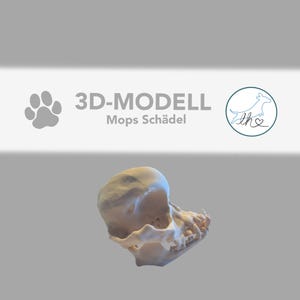 May include: A 3D printed model of a pug skull. The model is white and is shown from the side. The text "3D-MODELL Mops Schädel" is visible in the image.