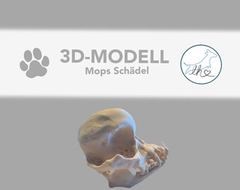 3D printed pug skull, anatomical model, decorative skull, handmade sculpture, 3D skull dog