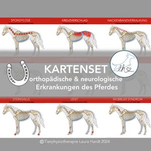 Flashcards sobre doenças ortopédicas e neurológicas de cavalos, quadros clínicos de cavalos, doenças de cavalos, fisiocards de animais