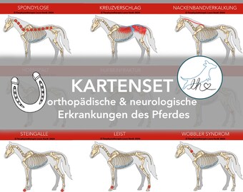 Flashcards on orthopedic and neurological diseases of horses, horse disease patterns, horse disease, animal physiology cards