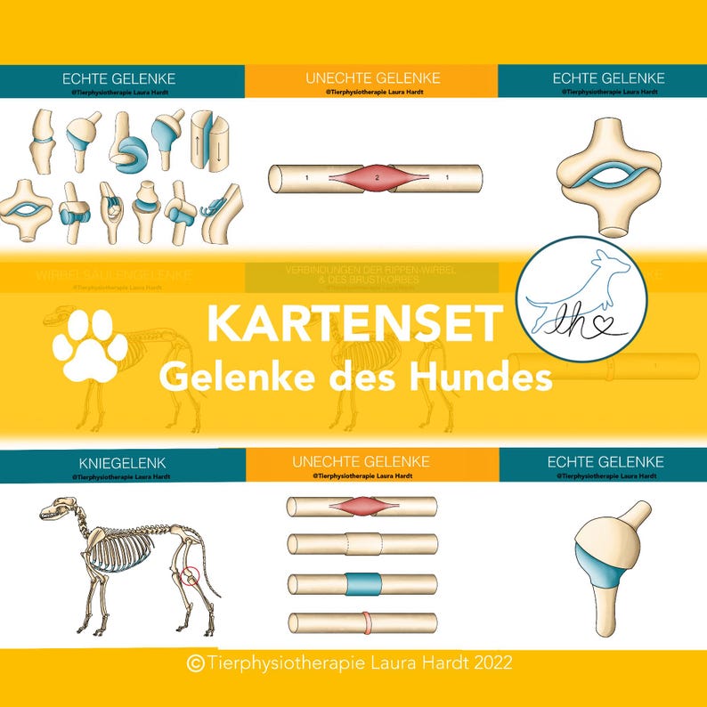 May include: A yellow and white illustrated chart with the text "Kartensatz Gelenke des Hundes" (German for "Card Set Joints of the Dog"). The chart shows different types of joints in a dog's body, including the knee, elbow, and shoulder. The chart is divided into three sections: "Echte Gelenke" (German for "True Joints"), "Unechte Gelenke" (German for "False Joints"), and "Kniegelenk" (German for "Knee Joint").