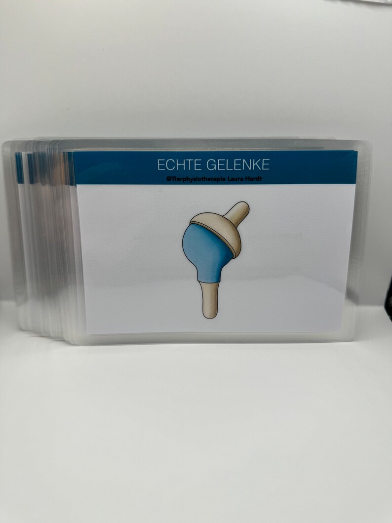 May include: Illustration of a human joint, showing the ball and socket structure. The joint is depicted in a light blue and beige color scheme. The text "ECHTE GELENKE" and "@Tierphysiotherapie Laura Hardt" are visible on the card.