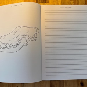 May include: A black and white line drawing of a wolf skull. The skull is facing left and the teeth are visible. The drawing is on a white page with a lined page on the right.