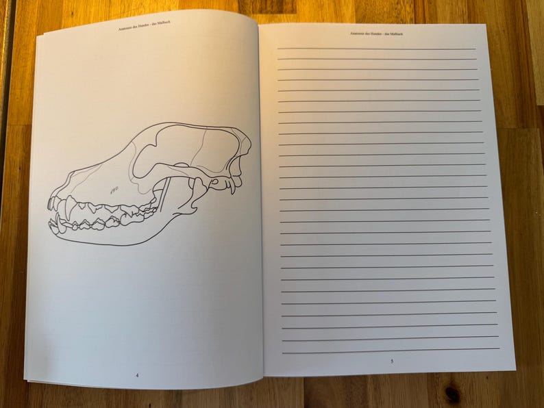 May include: A black and white line drawing of a wolf skull. The skull is facing left and the teeth are visible. The drawing is on a white page with a lined page on the right.