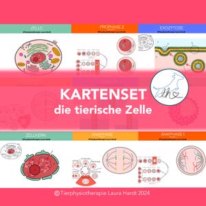 La célula animal, tarjetas didácticas, tarjetas de fisiología, tarjetas de fisiología animal.