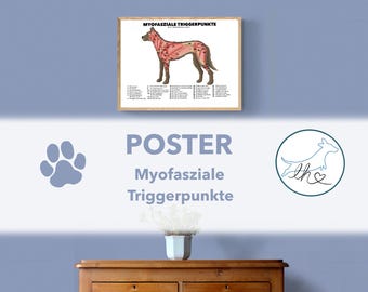 Trigger point poster, anatomy poster, dog poster, myofascial trigger points, dog physiotherapy, animal physio