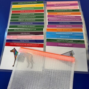 May include: A set of colorful flashcards with German medical terms related to physical therapy. The cards are organized in two columns and are labeled with terms such as "Wirbels&auml;ulen Stellung" (Spinal Posture), "Tibi plateau Winkel" (Tibial Plateau Angle), and "Goniometer" (Goniometer).