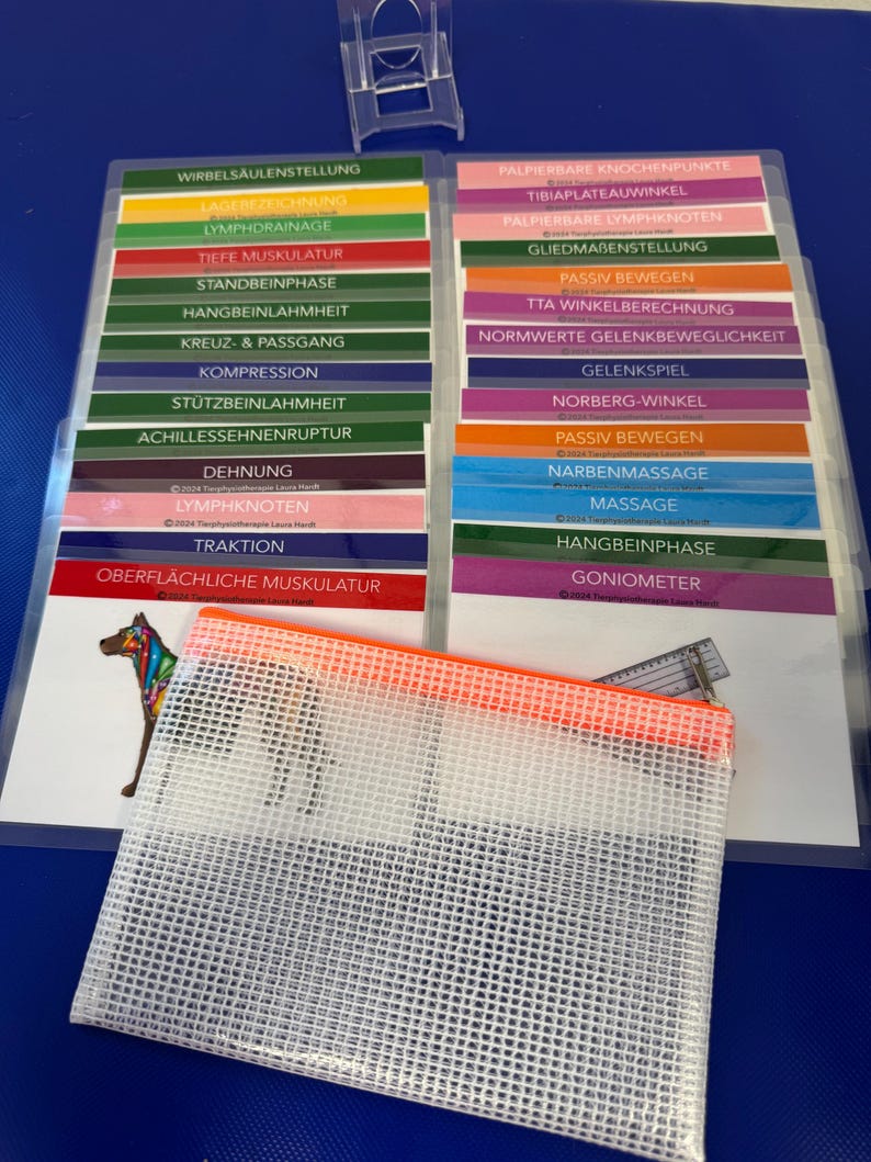 May include: A set of colorful flashcards with German medical terms related to physical therapy. The cards are organized in two columns and are labeled with terms such as "Wirbels&auml;ulen Stellung" (Spinal Posture), "Tibi plateau Winkel" (Tibial Plateau Angle), and "Goniometer" (Goniometer).