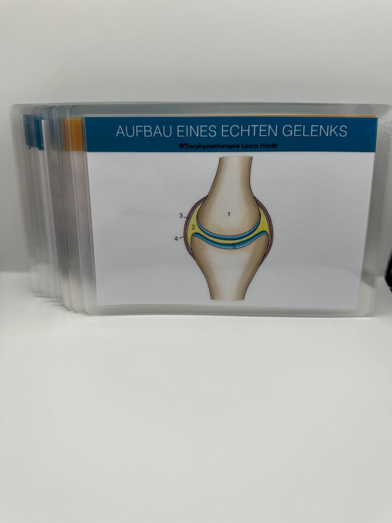 May include: Diagram of a joint showing the different parts of the joint. The diagram is labeled with numbers 1 through 5. The text at the top of the diagram reads "Aufbau eines echten Gelenks" and "&copy;Tierphysiotherapie Laura Hardt".