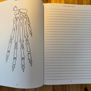 May include: A black and white line drawing of a human hand skeleton. The drawing is on a white page with a lined page on the right side.