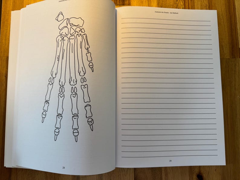 May include: A black and white line drawing of a human hand skeleton. The drawing is on a white page with a lined page on the right side.