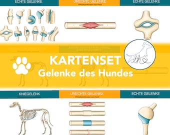 Gelenkkarten Hunde, Lernkarten Hundegelenke, Gelenkkarten des Hundes, Gelenkkartenset, Tierphysiokarten