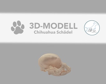 3D printed Chihuahua skull with mount, anatomical model, decorative skull, handmade sculpture, 3D skull dog