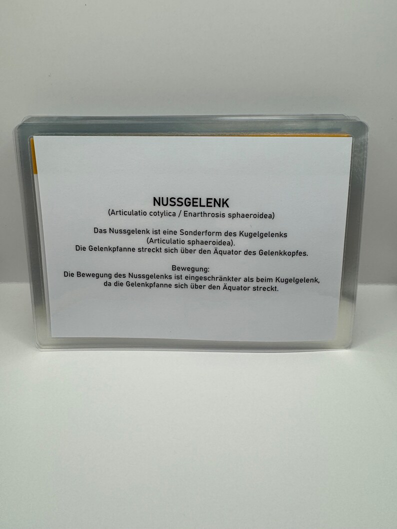 May include: A white card with black text explaining the anatomy of a ball-and-socket joint called a "Nussgelenk" (German for "nut joint"). The text explains that the joint is a special form of the ball-and-socket joint and that the socket extends beyond the equator of the ball.