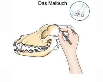 Dog Anatomy - Coloring Book for Adults / Educational Coloring Book about Dog Bones and Joints