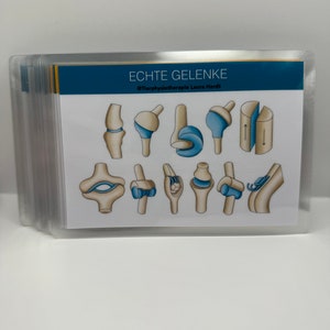 May include: A diagram showing different types of joints in the body. The joints are illustrated with bone and cartilage, and the movement of the joints is shown with blue arrows. The text at the top of the diagram reads "Echte Gelenke" and "@Tierphysiotherapie Laura Hardt".