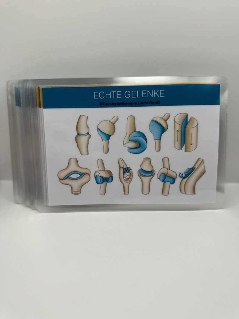 May include: A diagram showing different types of joints in the body. The joints are illustrated with bone and cartilage, and the movement of the joints is shown with blue arrows. The text at the top of the diagram reads "Echte Gelenke" and "@Tierphysiotherapie Laura Hardt".