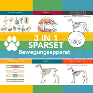 Learning set muscles bones joints, muscle cards dogs, bone cards dogs, joint cards dogs, savings set, image 1