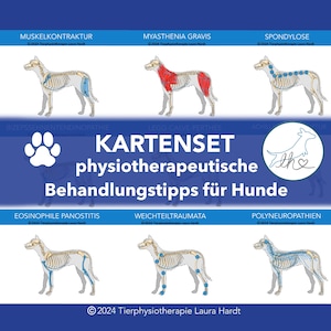 Fichas sobre métodos de tratamiento fisioterapéutico de enfermedades neurológicas y ortopédicas en perros, fichas de fisioterapia.